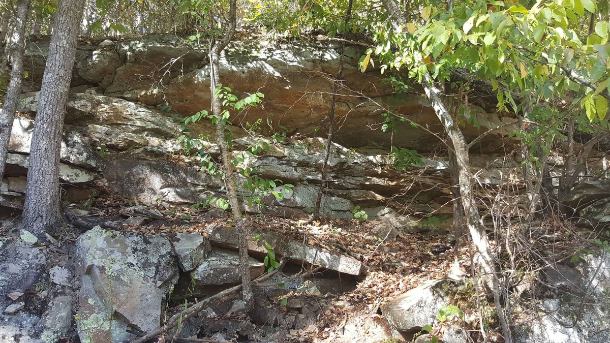 Addison Cabin | Cabins on Brushy at Smith Lake