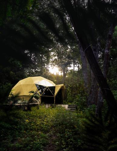 Puerto Vallarta Resort | Cabo Real Luxury Glamping