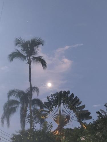 Ilha Grande House | Cachanga