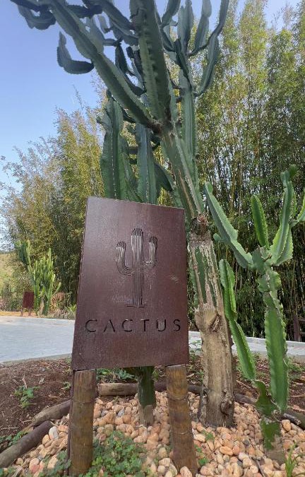 Lumiar Cabin | Cactus Cabana
