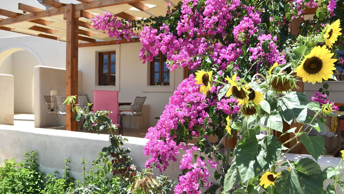 Imerovigli House | Cactus hideaway with sea views