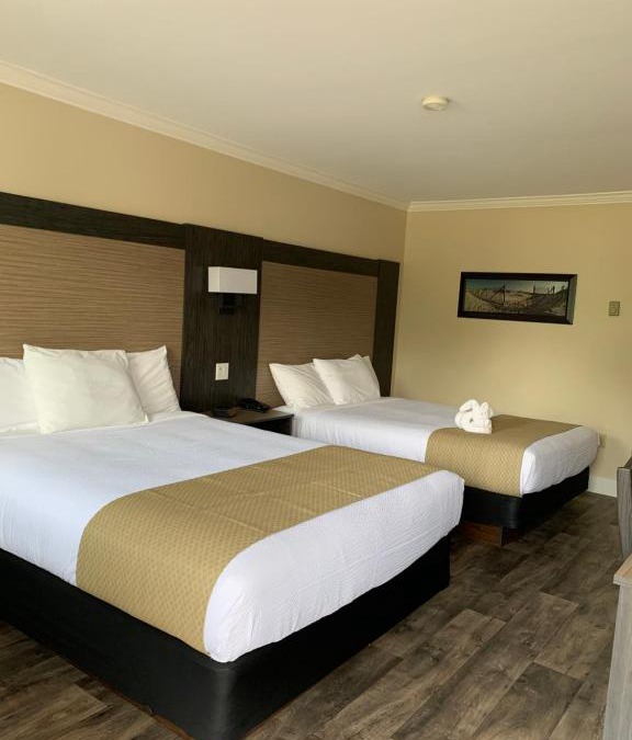 Summerside Hotel | Cairns Motel