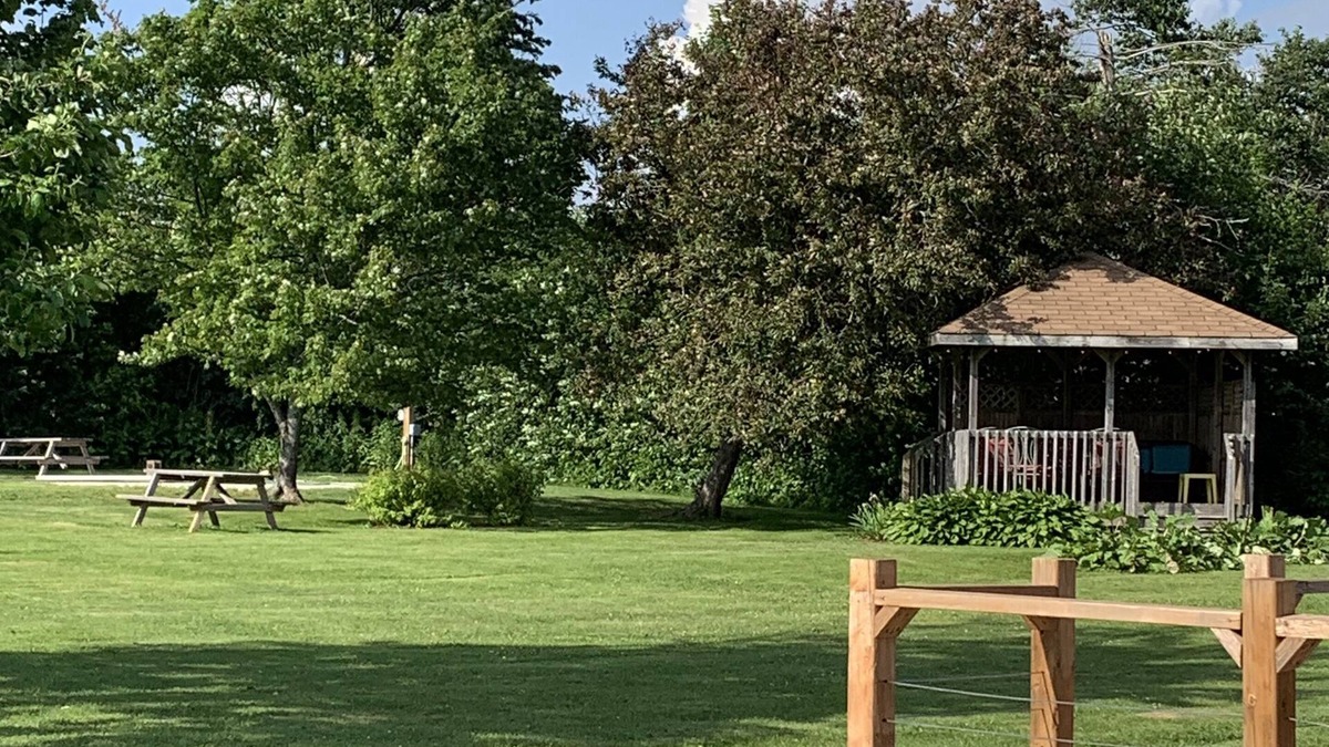 Summerside Hotel | Cairns Motel