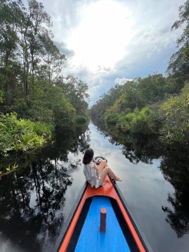 Kalimantan Boat Rental | Cakrawala Borneo Tour Tanjung puting