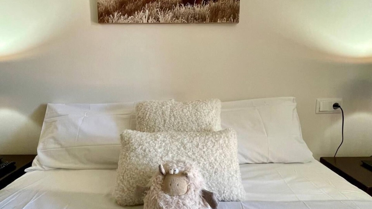 Puigcerda Apartment | CAL QUEROL 2 - Cozy getaway with charm and comfort in central Puigcerdà