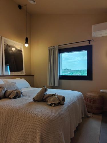 Cervera Hotel | CaLagneta - Art i Vi