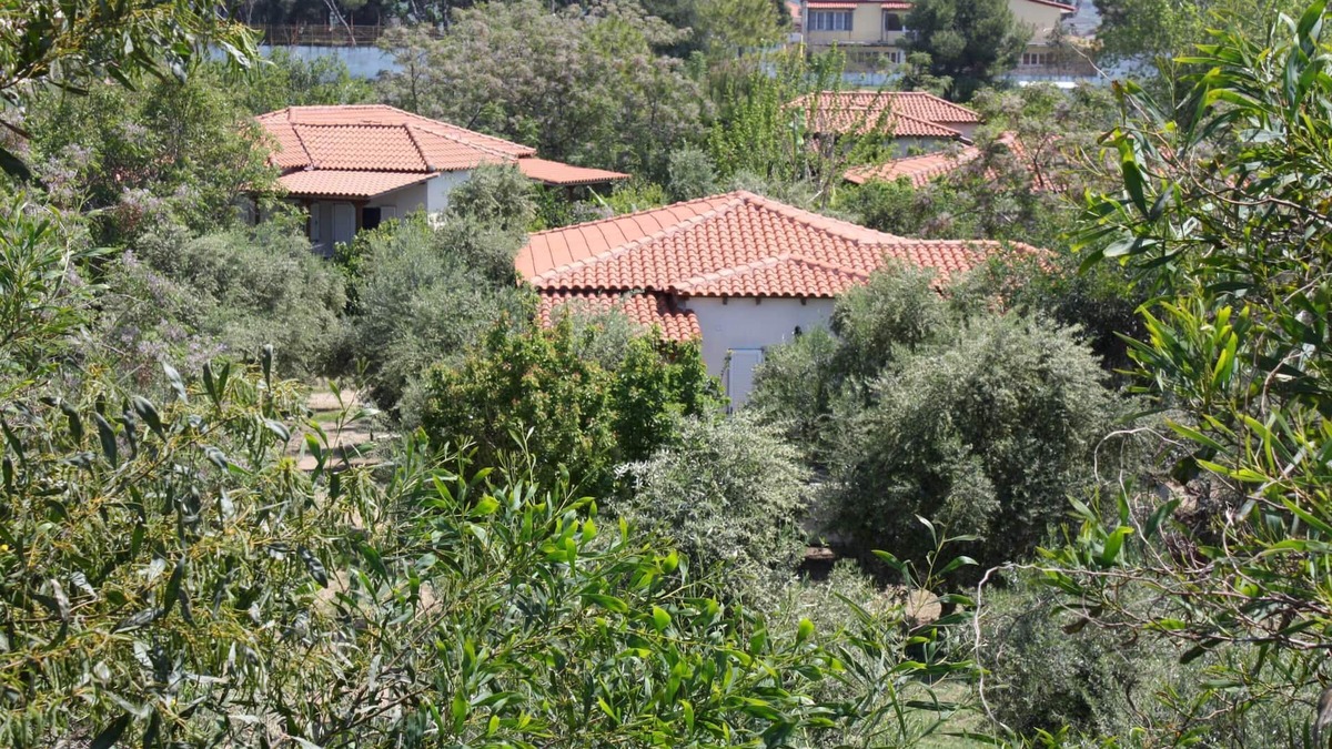 Kakovatos House | Calm located, amid an olive grove, close to the beach, wifi | holiday house Ilia