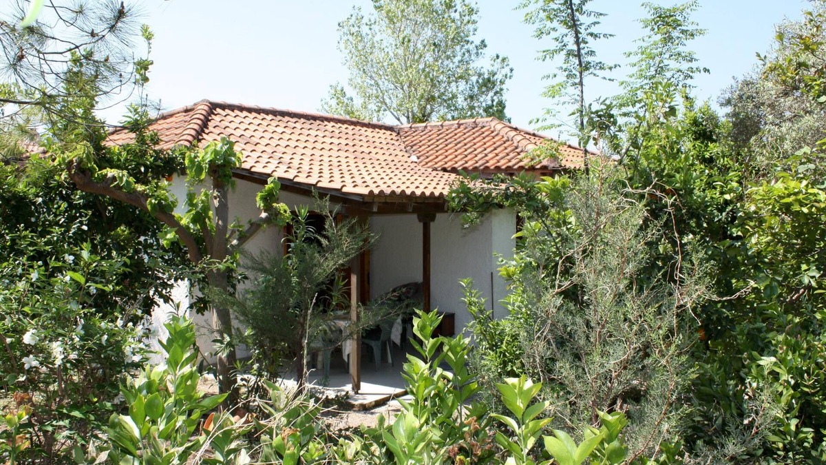 Kakovatos House | Calm located, amid an olive grove, close to the beach, wifi | holiday house Ilia