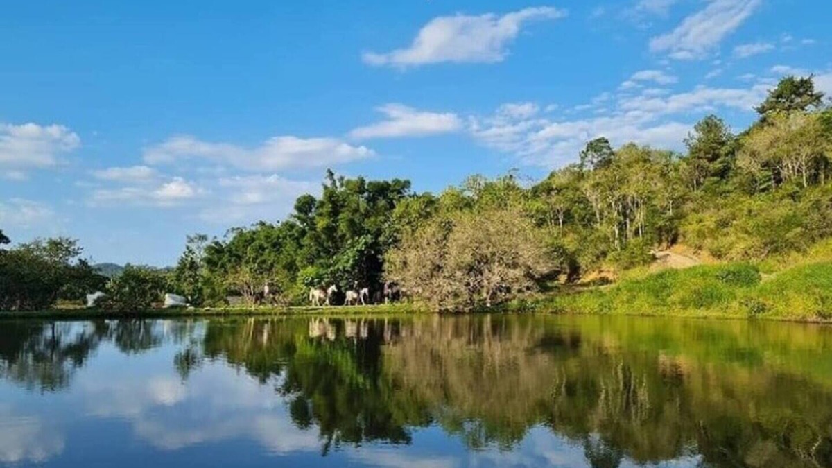 Camboriu Cottage | Camboas Atlantic Forest Country House