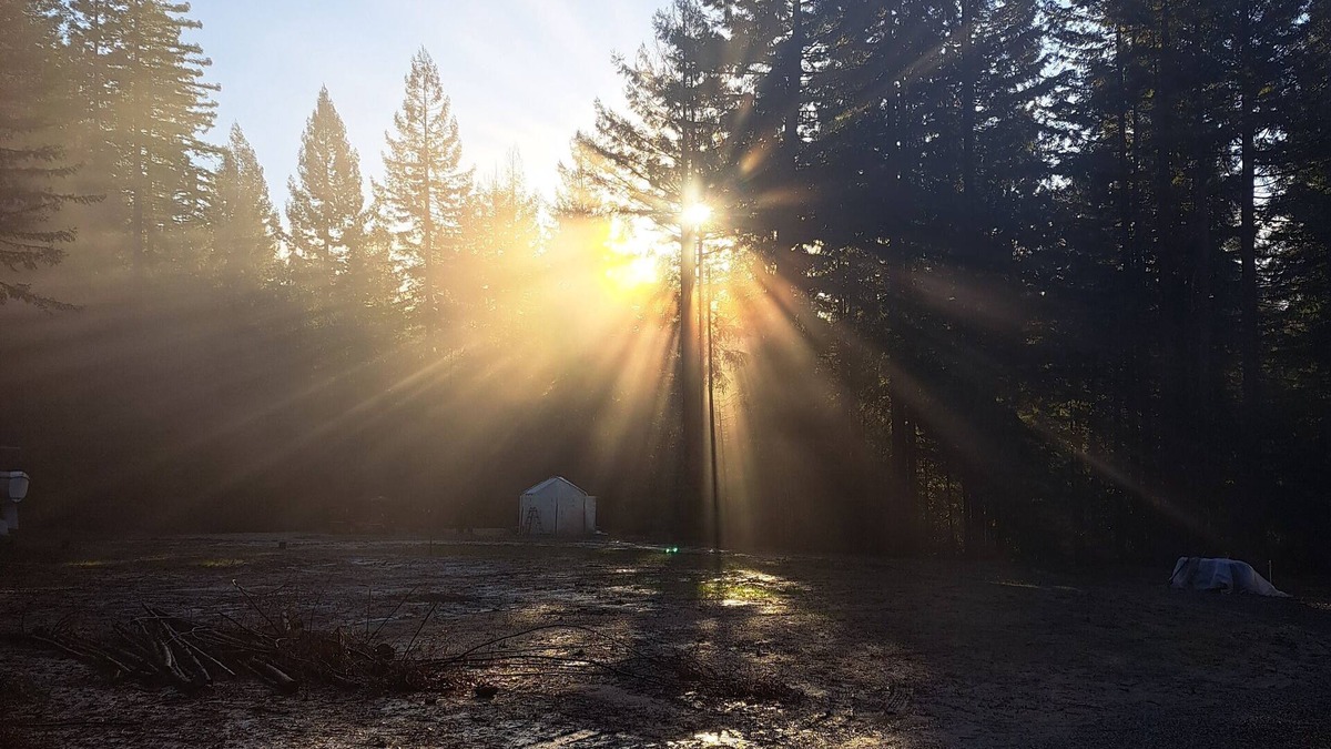 Fortuna RV Rental | Camp in private Redwoods, no fires
