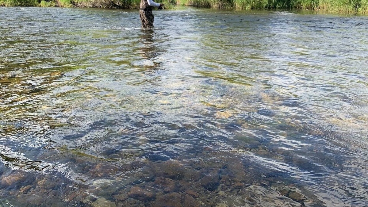 Ravalli County Other | CAMP SULA - RV SPOT 18