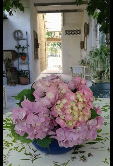 San Martino Valle Caudina House | Campanino68