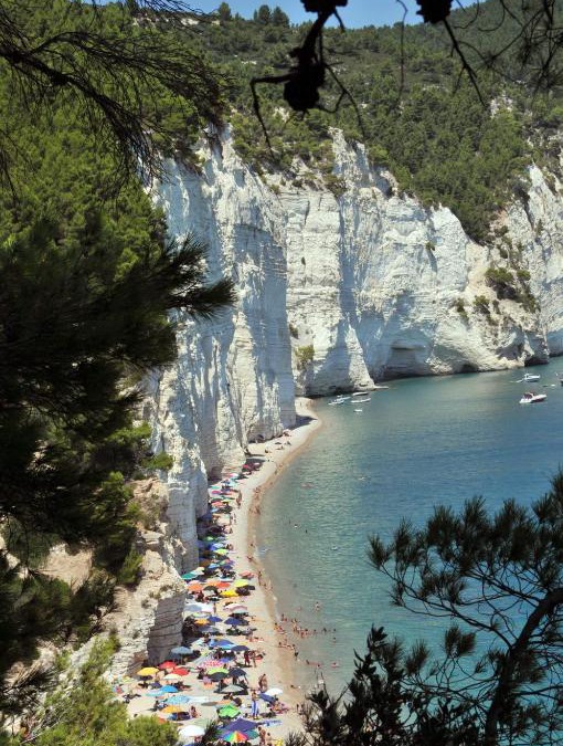 Mattinata Apartment | Camping Apartment Vignanotica