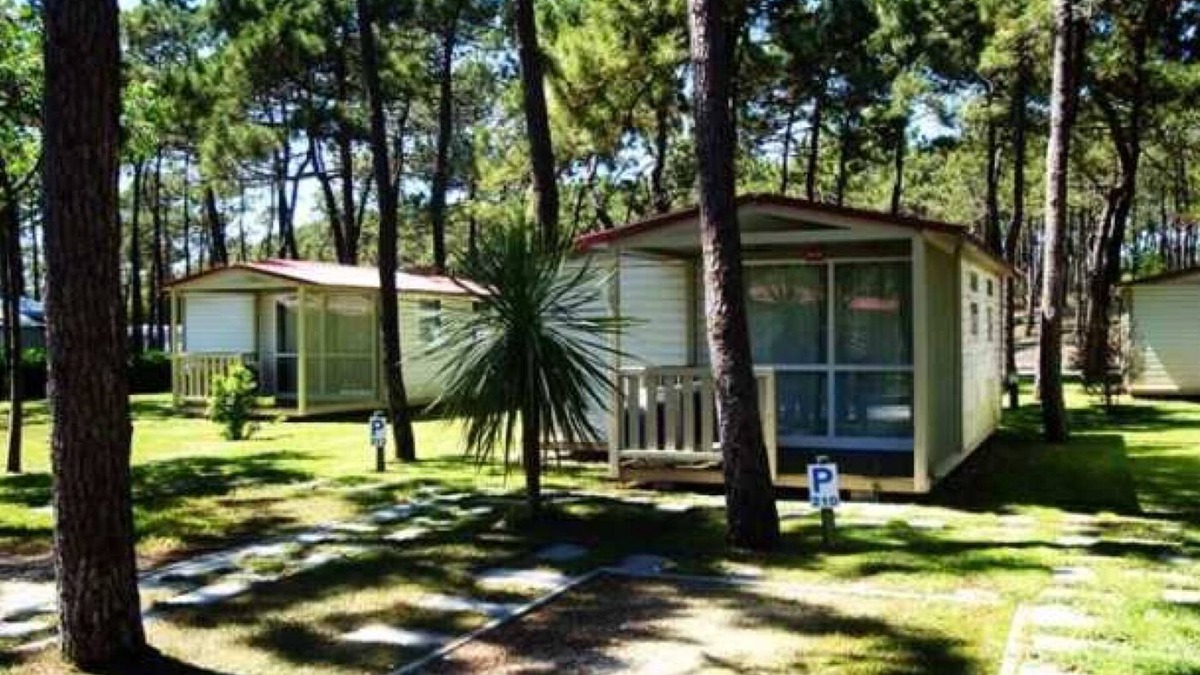 Tavarede House | Camping - Piscine - eeec0c