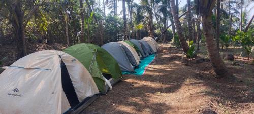 Harihareshwar Other | Campola camping