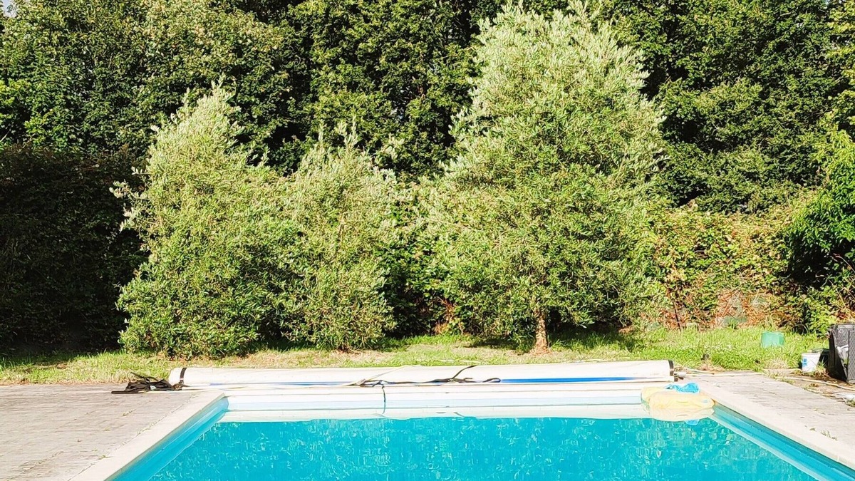 Motreff RV Rental | Campsite 5 min from Carhaix. Vieilles Charrues. shuttle and swimming pool included