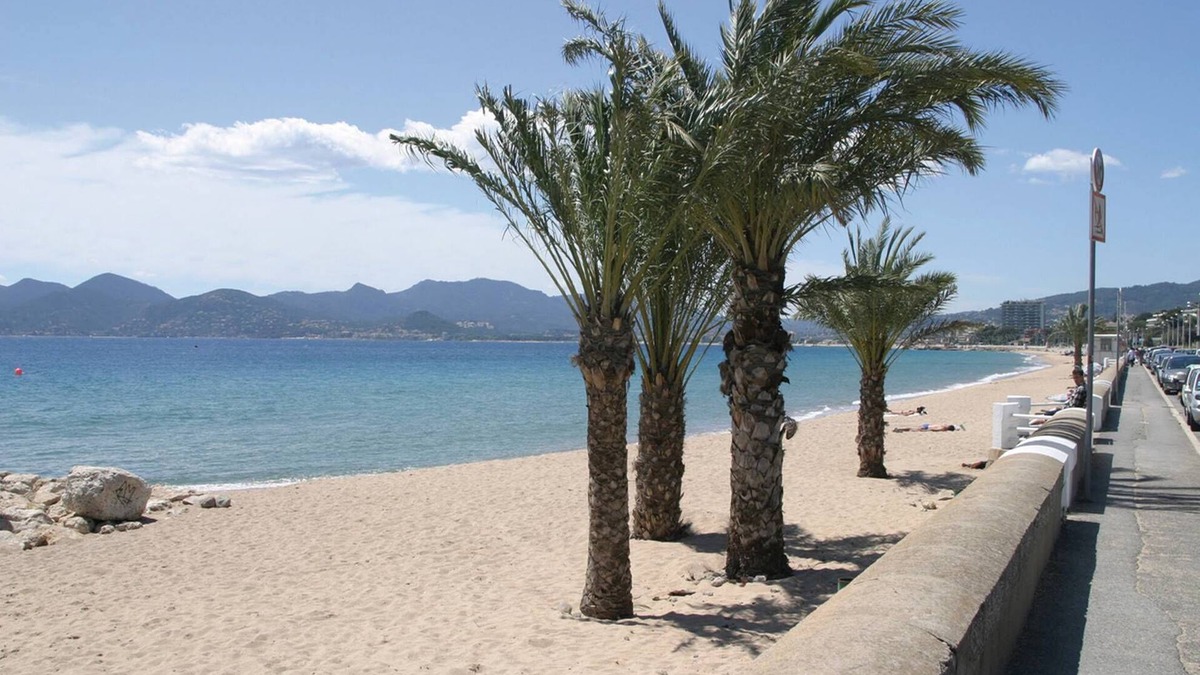 Prado - Republique Apartment | Cannes, 2 rooms Furnished 3 stars 10 mn from the Palais and the beach