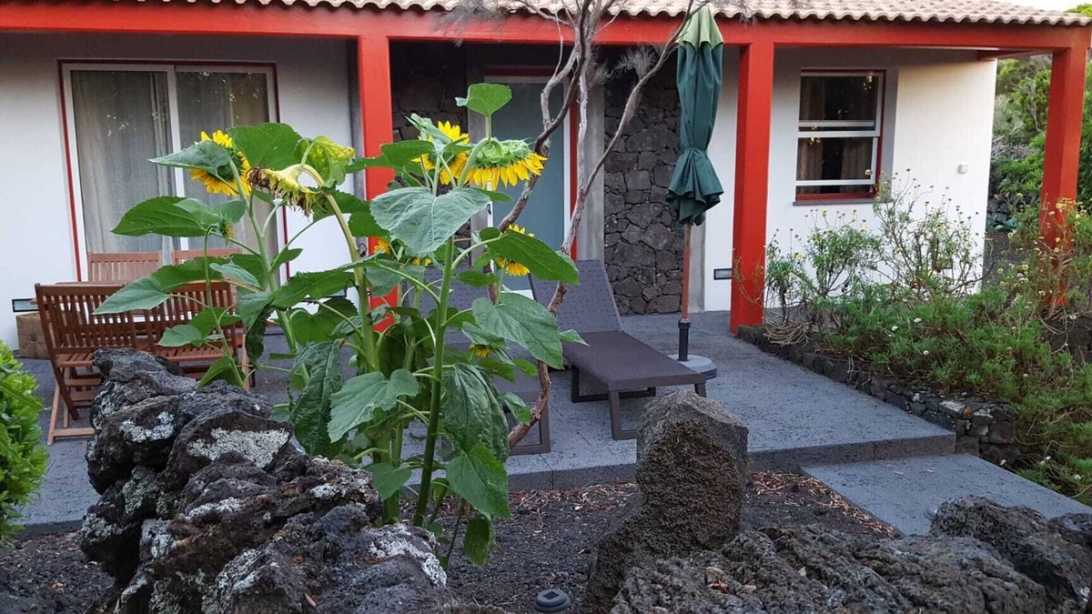 Madalena House | Canopus star house.