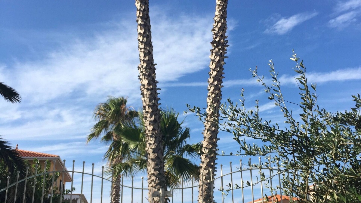 Cap d'Agde Apartment | CAP D'ADGE ROCHELONGUE T2 CABIN IN RDJ (Clim+WiFi fibre) TERRACE, SWIMMING POOL