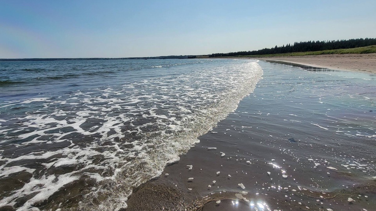 Richmond County House | Caper Cottages - Ocean Front - RED