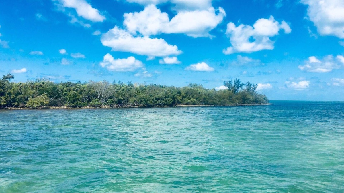 Marathon Hotel | Captain Pips Marina & Hideaway