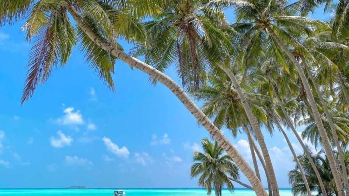 Mathiveri Hotel | Captal Island Villa