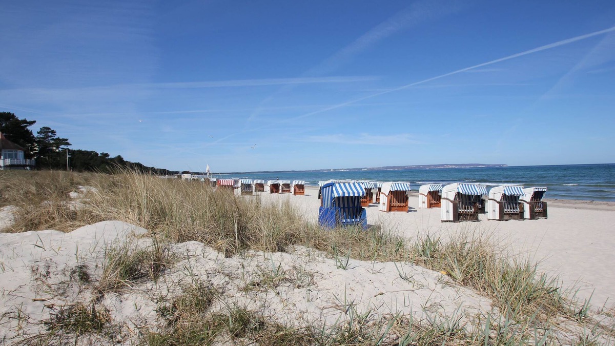 Ostseebad Baabe Apartment | Carpe Diem vacation apartment in the Villa Wauzi in Baabe