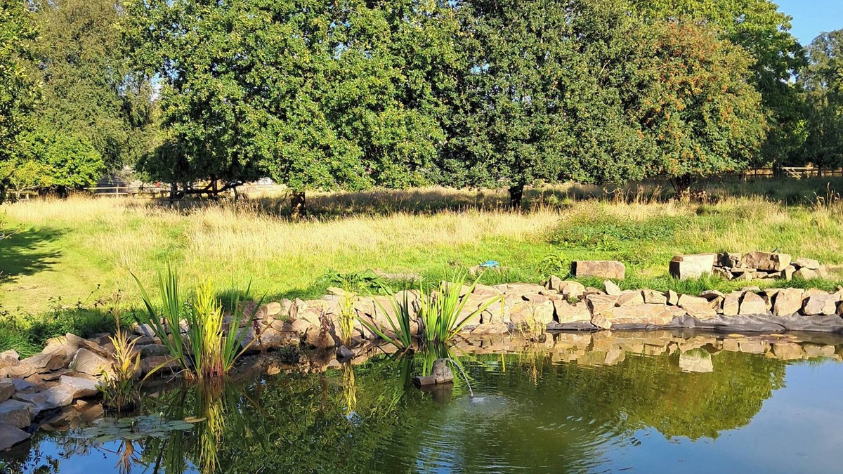 Pentrefelin Cottage | Carreg Cennen Cottage