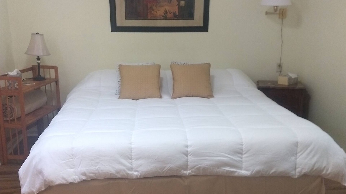 Kenner - Louis Armstrong International Airport House | Carriage House/apartment Near New Orleans