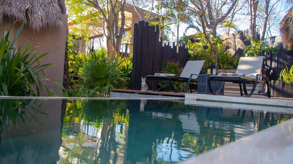 Cuatunalco Hotel | Casa A´more