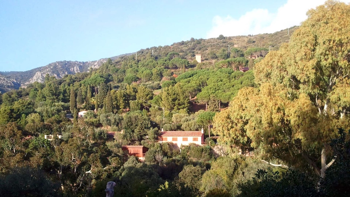 Monte Argentario Villa | Casa Anita (Wild House) An oasis surrounded by nature 200 meters from the sea