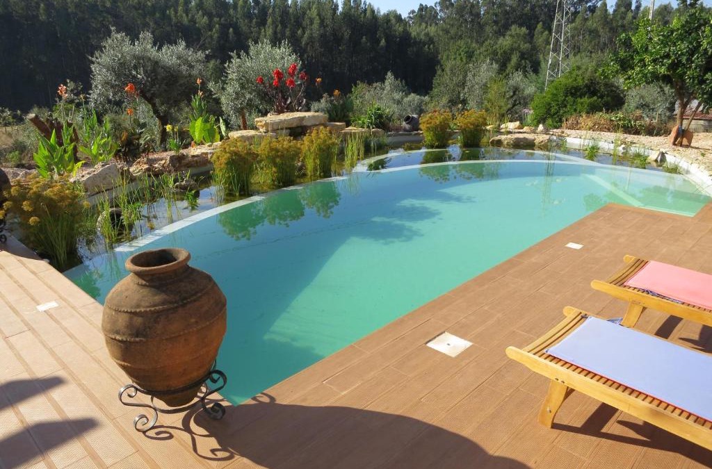 Aguda Apartment | Casa Azul self-catering apartment with gorgeous biological swimming pool