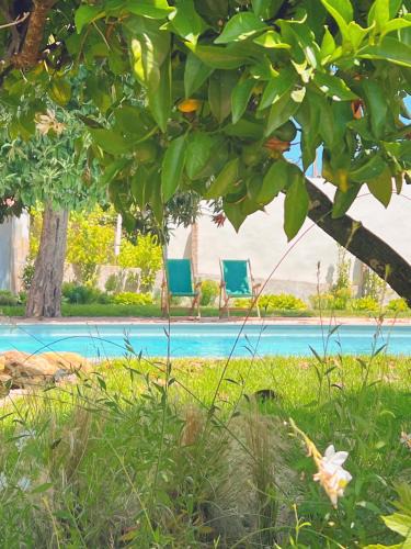 Castanheira de Pera House | Casa Bizarra