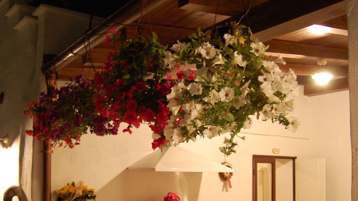 Centro Storico Bed & Breakfast | Casa Camilla
