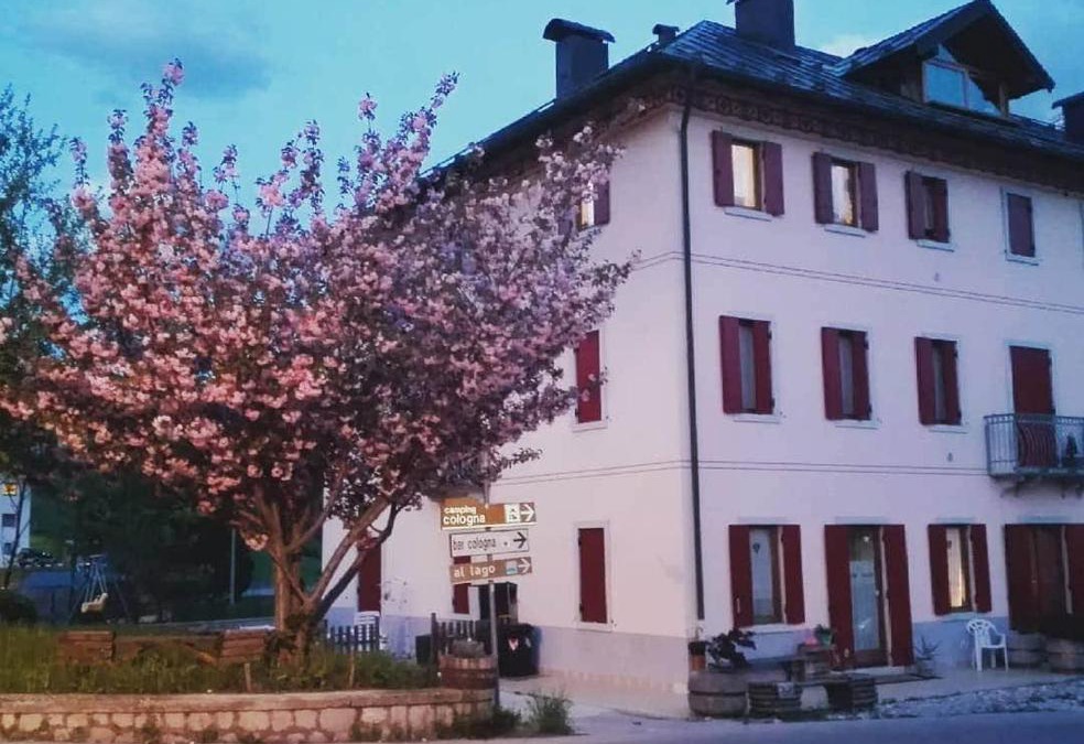 Domegge di Cadore Apartment | Casa Ciccarelli