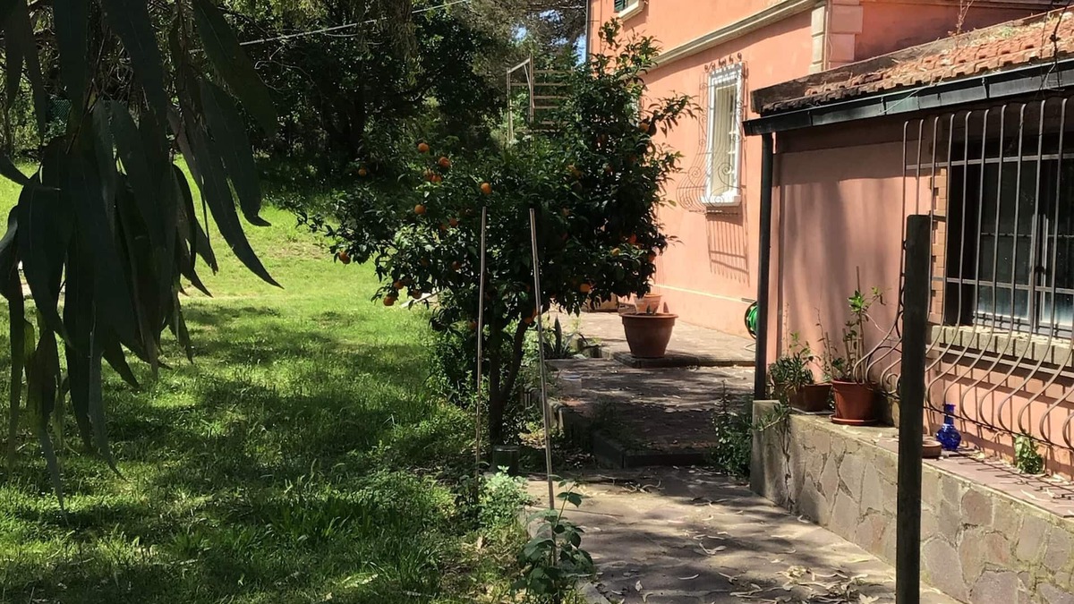 Livorno Bed & Breakfast | Casa Colonica Immersa nel Verde Delle Colline Livornesi, a 10 min dal Mare