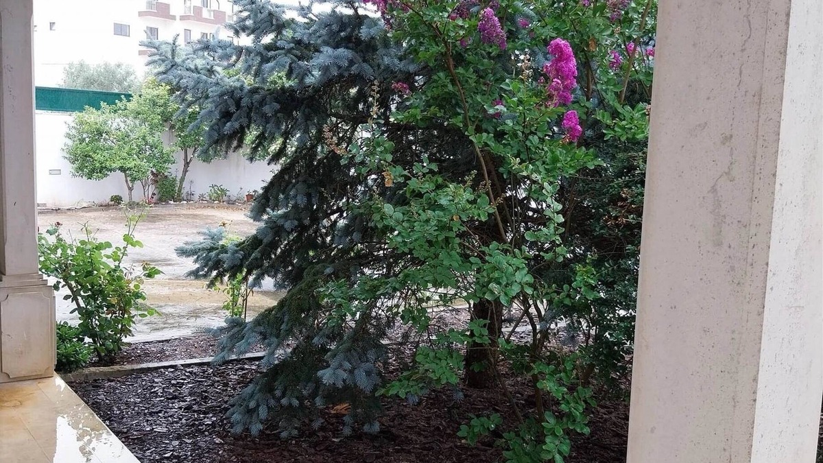 Fatima House | Casa com ALma