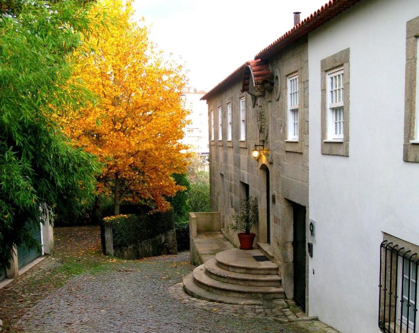 Sever do Vouga House | Casa da Aldeia