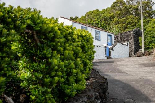 Sao Joao House | Casa da Cisterna