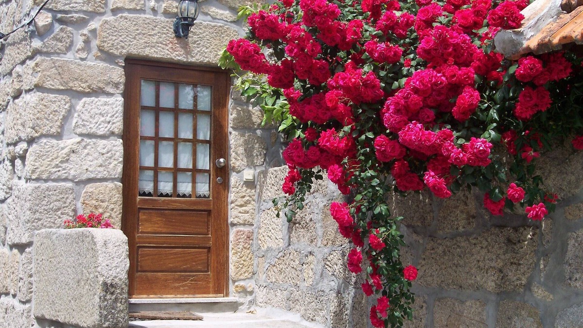 Fatauncos Villa | CASA DA ESTALAGEM - COMFORT AND TRANQUILITY