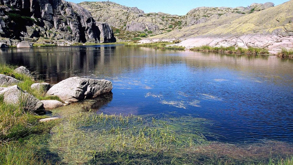 Gouveia Apartment | CASA DA PALHEIRA - 4 PAX