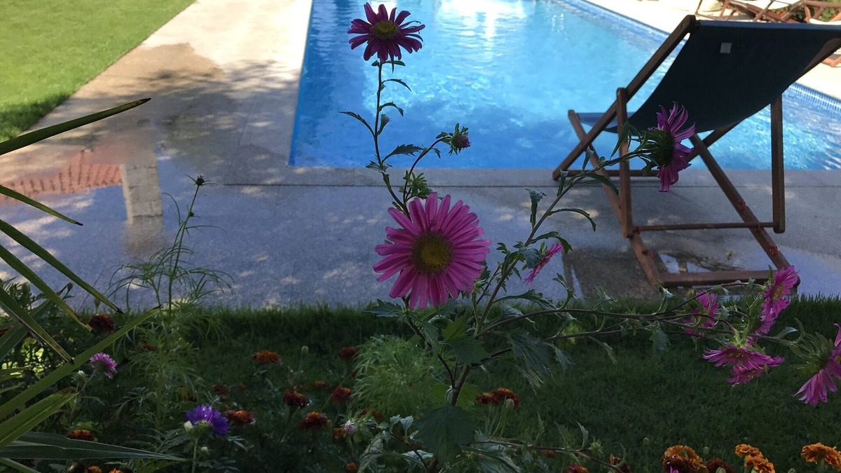 Fatauncos House | CASA DA PRAÇA - TRANQUILITY AND COMFORT AT A FANTASTIC PRICE