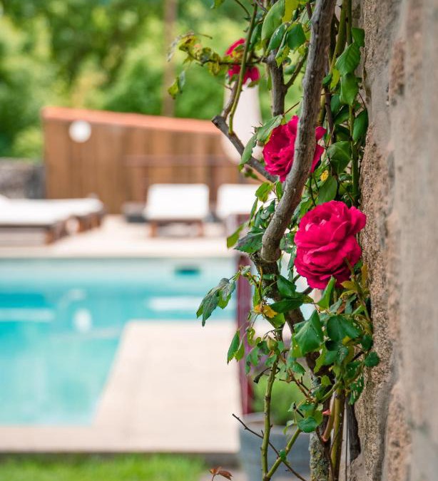 Fornos de Algodres House | Casa da Várzea - Serra da Estrela