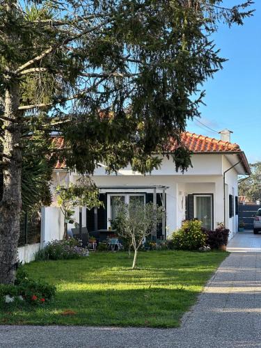 Aveiro House | Casa das Camélias