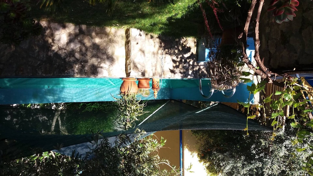 Nossa Senhora do Pranto House | Casa das Larangeiras