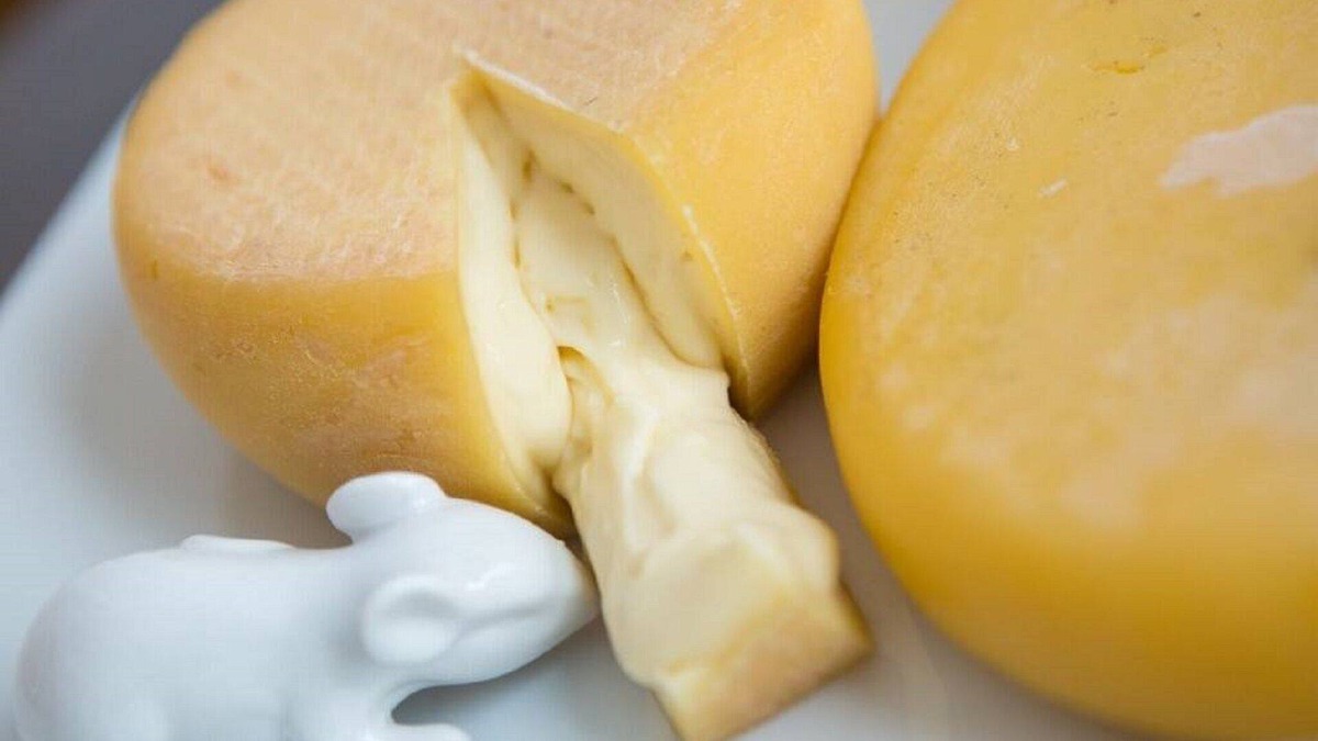 Calheta de Nesquim House | Casa das Pereiras - Rural Tourism T1