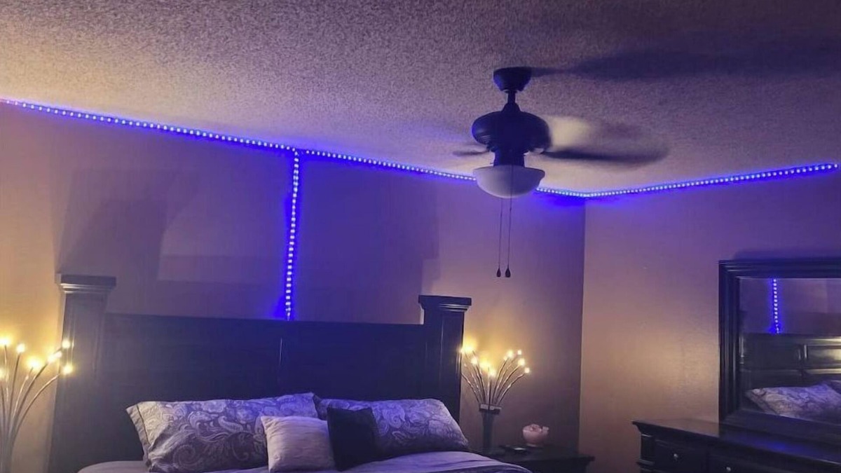 Security-Widefield House | Casa De Bennie