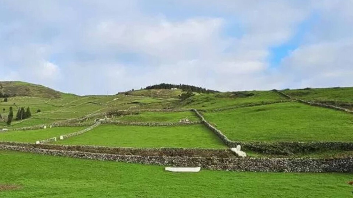 Angra do Heroismo Bed & Breakfast | Casa de Campo Franco da Serra - Deluxe Double Room
