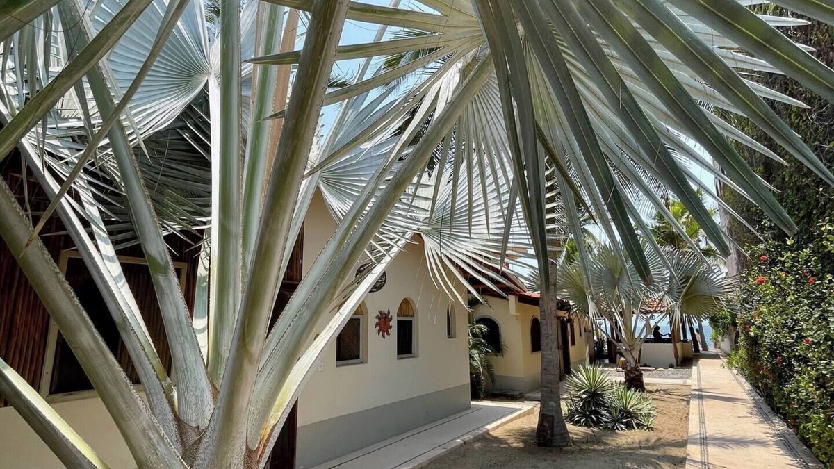 Barra de Potosi House | Casa de la Luna - La Nopalera