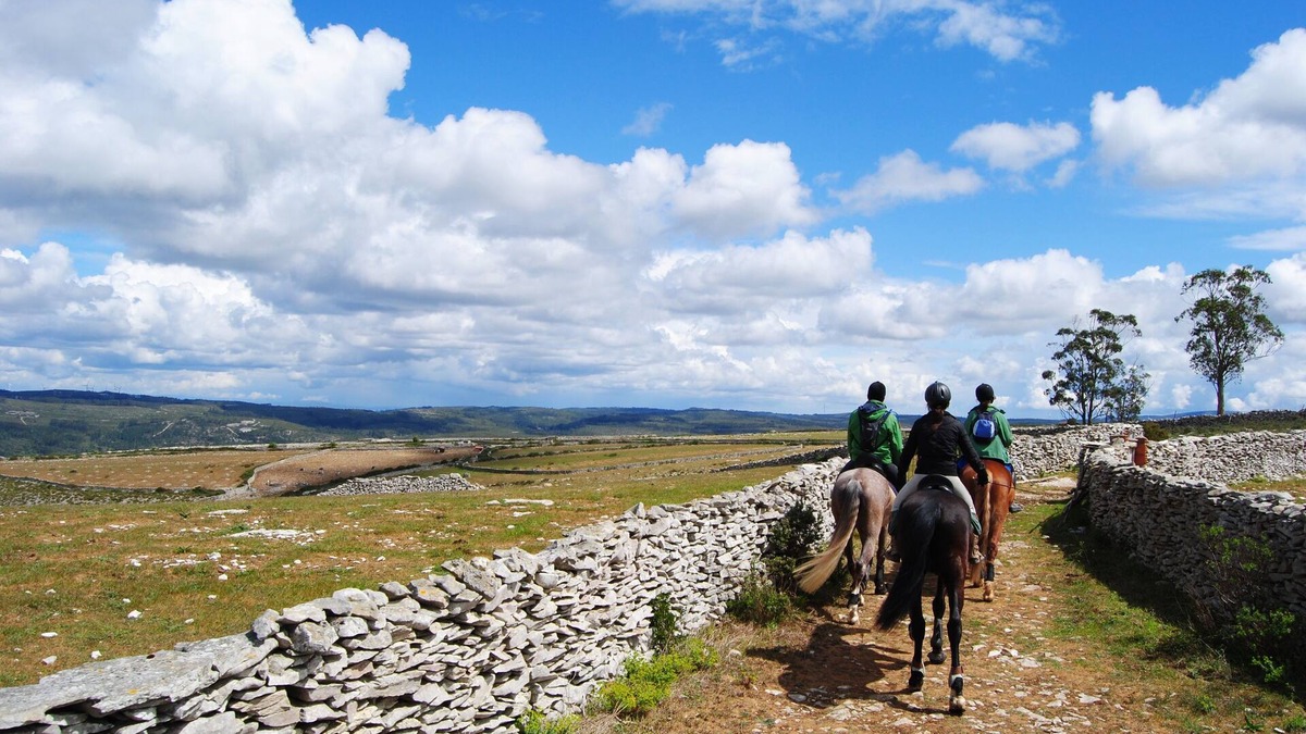 Alcanena Villa | Casa de Vila no Meio de Parque Natural. Relaxe Entre a Natureza e a Piscina